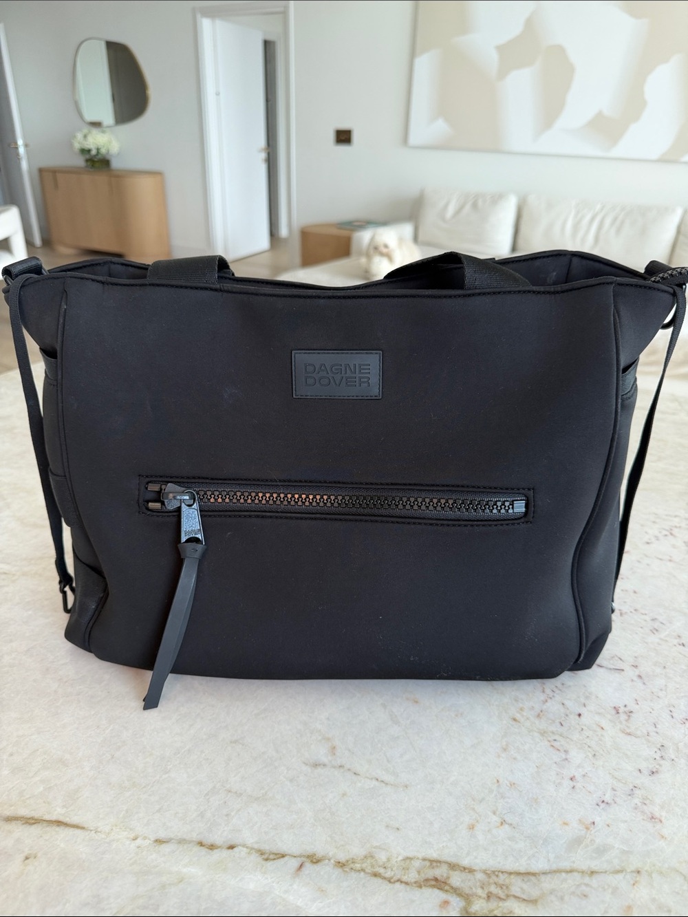 Dagne Dover Black Compact Messenger Bag with Front Zip